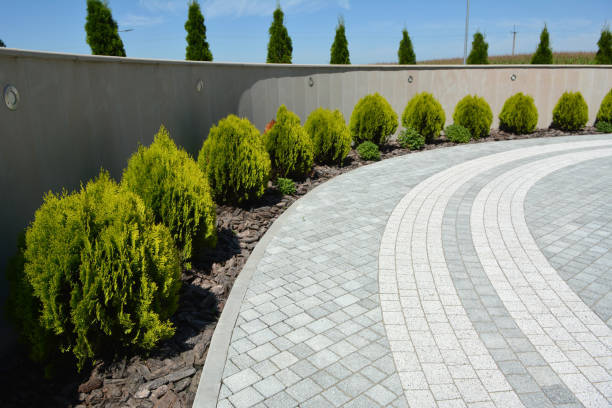 Reasons to Select Us for Your Driveway Paving Requirements in St Matthews, SC